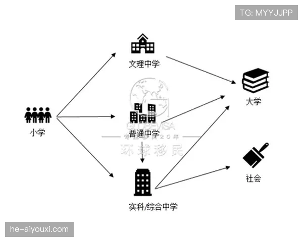 阿尔瓦雷斯与福登在曼城进攻体系中的战术定位与作用差异分析
